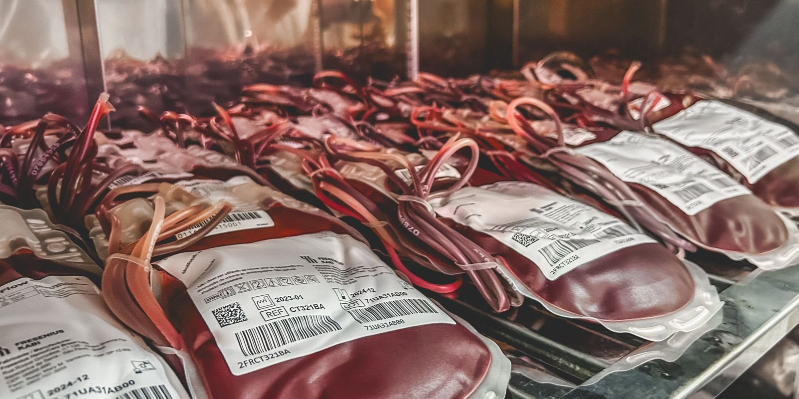 dia-mundial-do-doador-de-sangue:-uma-unica-doacao-pode-salvar-3-vidas