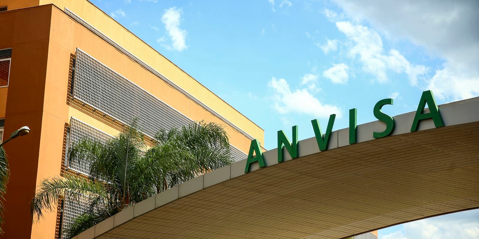 Anvisa restringe venda de azeite, sal do himalaia e chá; confira