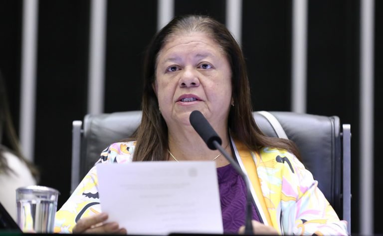 Deputada Laura Carneiro (PSD-RJ) fala no Plenário da Câmara dos Deputados