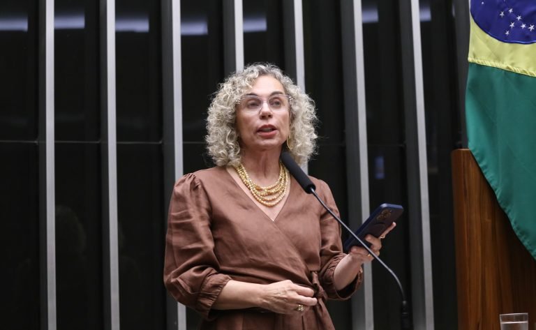 Discussão e votação de propostas legislativas. Dep. Ana Paula Lima (PT - SC)