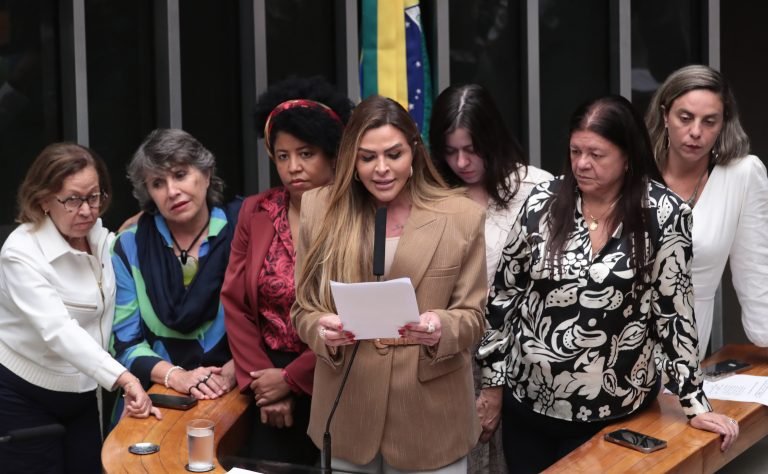 Discussão e votação de propostas legislativas. Dep. Lídice da Mata (PSB - BA), Dep. Erika Kokay (PT - DF), Dep. Jack Rocha (PT-ES), Dep. Silvye Alves (UNIÃO - GO), Dep. Sâmia Bomfim (PSOL - SP), Dep. Laura Carneiro (PSD - RJ) e Dep. Fernanda Melchionna (PSOL-RS)
