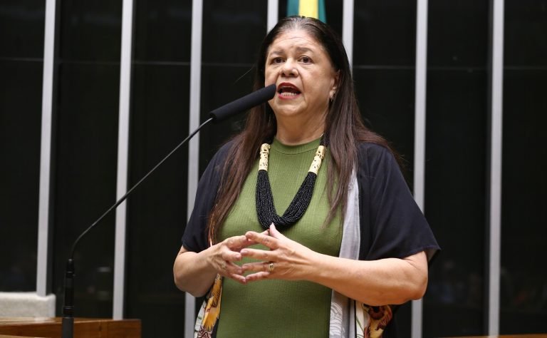 Discussão e votação de propostas legislativas. Dep. Laura Carneiro (PSD - RJ)