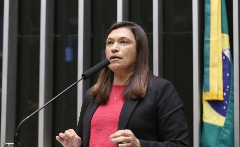 Homenagem ao Dia Internacional da Mulher. Dep. Maria Rosas (REPUBLICANOS - SP)