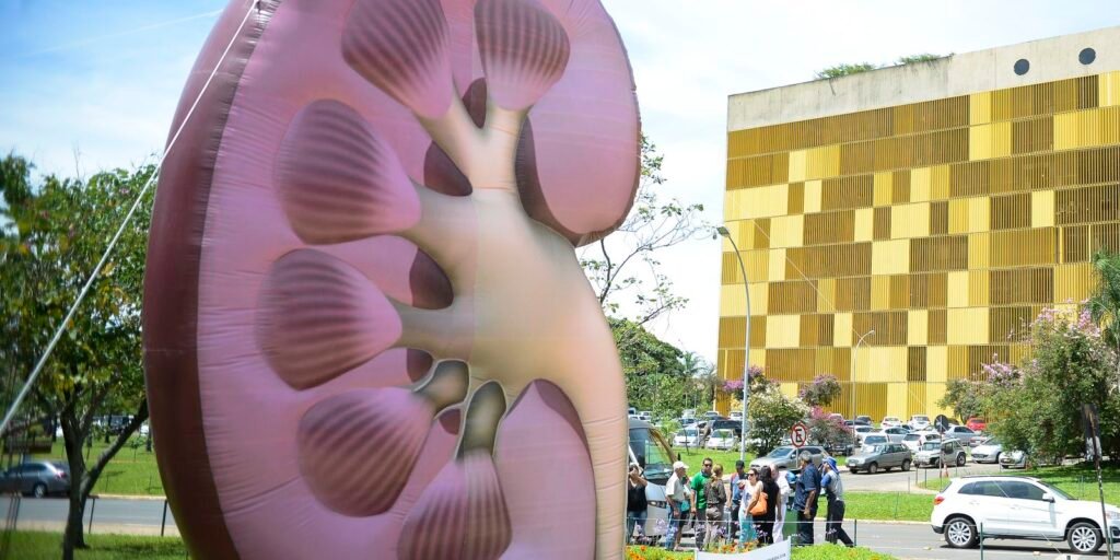 Dia Mundial do Rim: doenças renais são silenciosas e exigem atenção