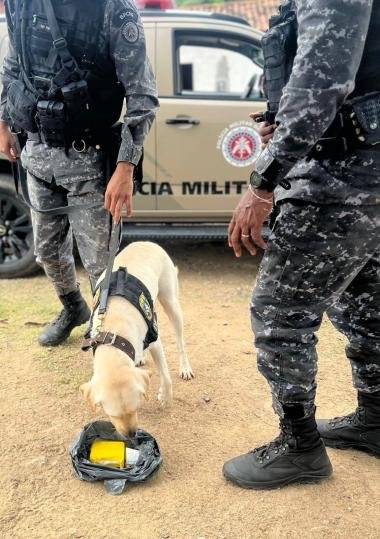 Com Canis do Batalhão de Choque e da CORE, Operação Cerco encontra drogas e aprofunda buscas em área de mata | SSP