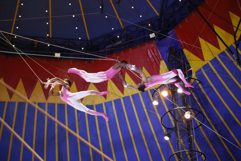 Circo ganha reconhecimento em lei como manifestação da cultura nacional - Notícias