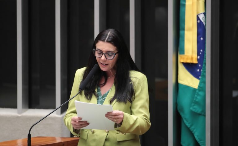 Comissão Geral sobre o Feminicídio. Dep. Delegada Ione (AVANTE-MG)